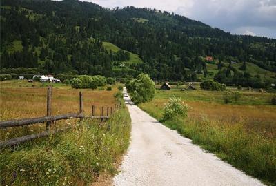 Teren de 50000 mp, în Central - 4