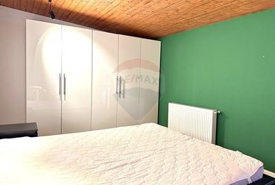 Casa/apartament tip studio/curte de inchiriat Parc Bazilescu - 6