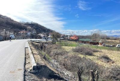 Teren de 2887 mp, în Barza - 1