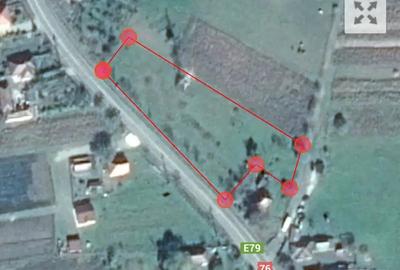 Teren de 3034 mp, în Bejan - 5