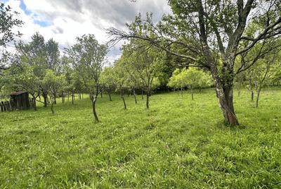 Teren intravilan 3102mp zona Racovita-Blanoiu - 4