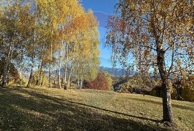 Oportunitate de investiție ! Teren de vis în Pestera - 125.370 mp - 34