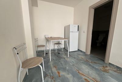 Apartament cu 1 camera Visan - 5