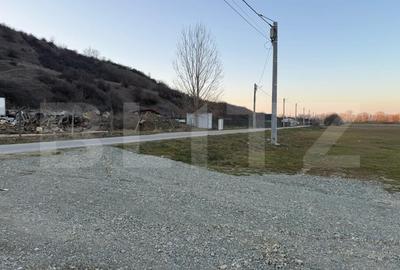 Teren Construcții intravilan de 4307 mp, în Podari - 1