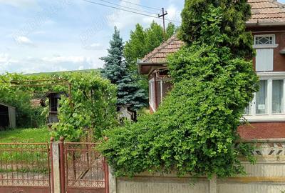 Casă cu Teren 950 Mp în Zau de Câmpie - 1