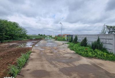 Teren de 540 mp, în Frumușani - 2