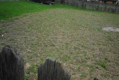 Teren de 746 mp, în Borca - 3