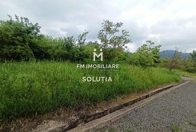 Teren 63 ari, Victoriei zona STO - 6