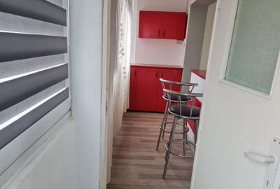 Apartament cu 2 camere semidecomandat în Hărmanului - 3