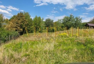 Teren intravilan 1279 mp , Valea Budacului - 3