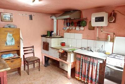 Casă cu Teren 1439 Mp în Brădișoru de Jos - 2