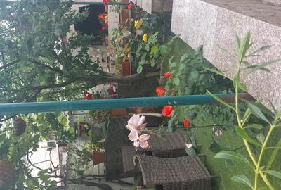 Casă în 16 Februarie - 3