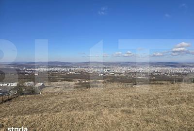 Teren de 4000 mp, în Făget - 11