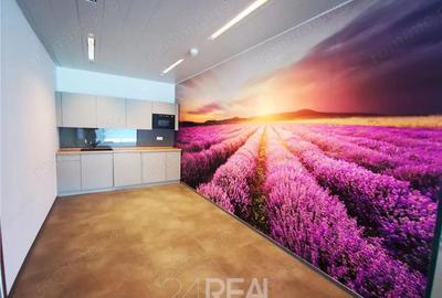 Spațiu comercial, în Barbu Văcărescu - 6