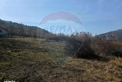 Spațiu comercial, în Central