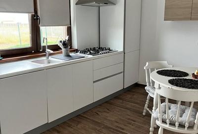 Sanandrei – Duplex  2  Camere – Pod  Mansardabil - 7