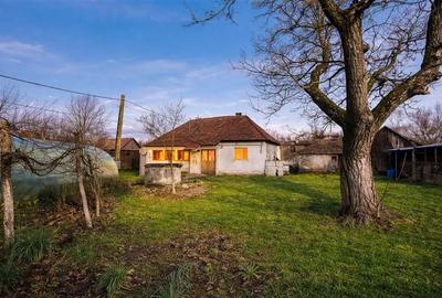 FILM! Casa cu sura, pivnita, balta cu pesti, 2.280 mp teren roditor, Lemnia, Cov - 6