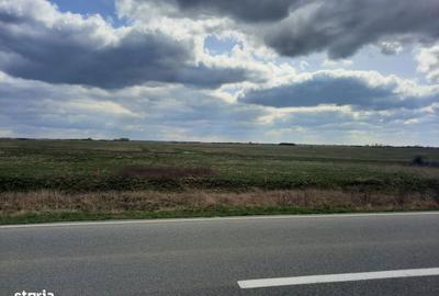 Teren de 13000 mp, în Sânmihaiu Român - 2