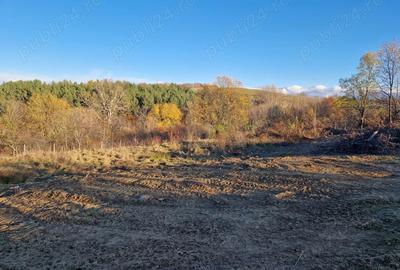 Teren de 1000 mp, în Cisnădioara - 3
