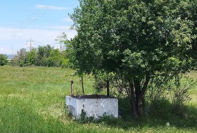 Inchiriez 10.000 mp Halinga - 5