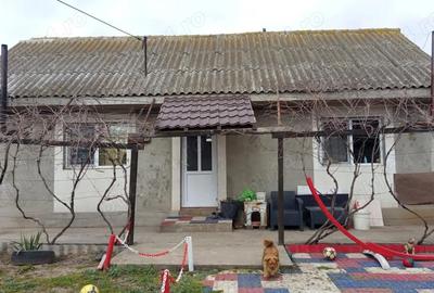 Casă cu Teren 700 Mp în Lumina - 4