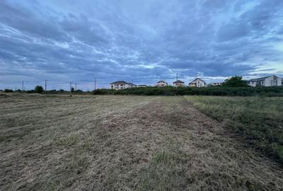 Teren Construcții intravilan de 742 mp, în Dumbrăvița - 1