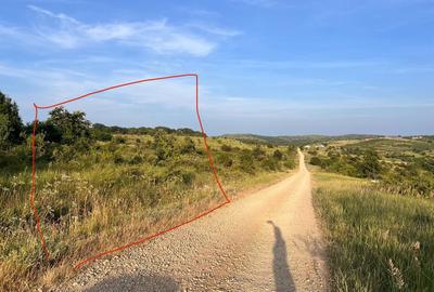 Spațiu comercial, în Săldăbagiu de Munte - 3