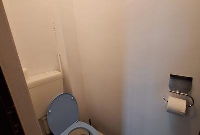 Apartament 3 camere, Piata Amzei, Romana, Victoriei - 5