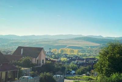 Apartament cu 2 camere semidecomandat în Cetate - 4