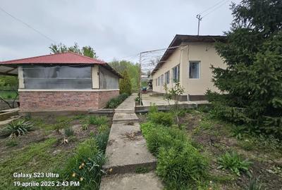 Colt de rai refugiul tău verde în inima naturii - 3