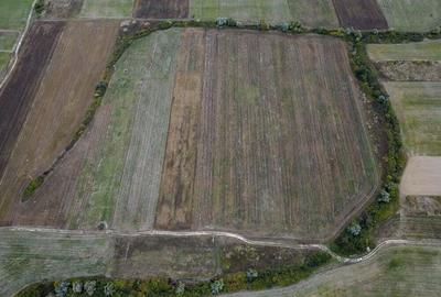 Teren agricol de 34.500mp in Albina, Jude?ul Timi? - 4