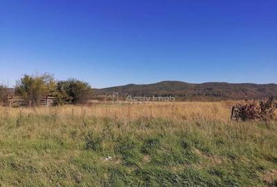 Teren intravilan 3000 mp constructii industriale Teren intravilan 3000 mp constructii industriale - 13