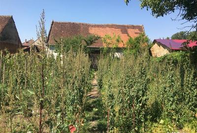 Casă cu 6 camere cu Teren 3444 Mp în Căstău - 2