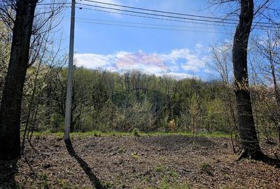 Teren Construcții intravilan de 10000 mp, în Nemțișor - 5