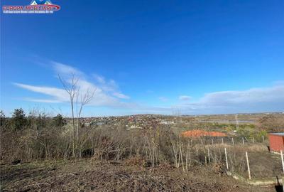 Teren de zona Bididia Tulcea - 11