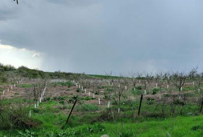 Casă cu 3 camere în Mogoșești - 5