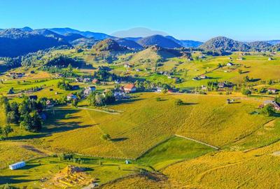 COMISION 0% Teren 19.300 mp/?irnea/ Oportunitate de inve... COMISION 0% Teren 19.300 mp/?irnea/ Oportunitate de inve... - 7