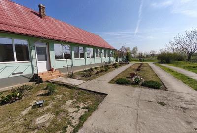 Casă cu 3 camere cu Teren 1500 Mp în Beregsău Mare - 7