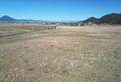 Teren extravilan Rasnov - 16