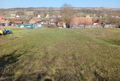 Casă individuală cu 2 camere cu Teren 1681 Mp în Stanciova - 1