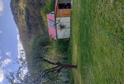 Cabana de vinzare - 2