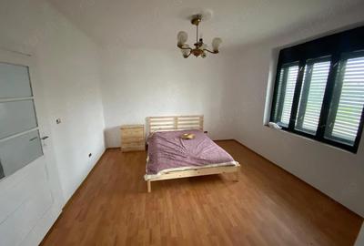 Casă cu 2 camere cu Teren 2880 Mp în Sintea Mare - 9