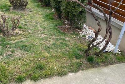 Duplex cu 5 camere cu Teren 300 Mp în Ghiroda - 16