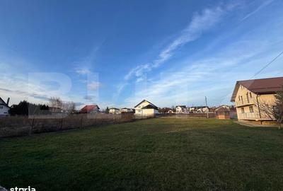 Teren de 1000 mp, în Șcheia