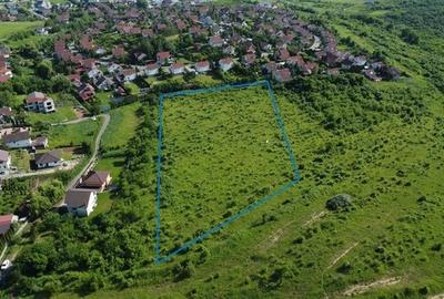 FILM!Teren pretios: 17.200 mp, recomandat investitional/dezvoltare,Livezeni,Mure - 10