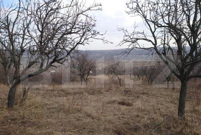 Teren intravilan 3712 mp + 2600 mp extravilan in Dobrovat - 3