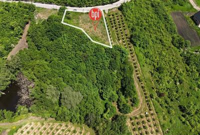 Teren Construcții intravilan de 20000 mp, în Rădășeni - 6