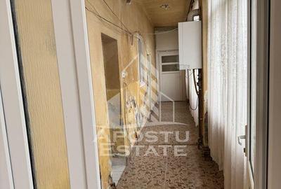 Casă cu 5 camere cu Teren 3383 Mp în Remetea Mare - 7