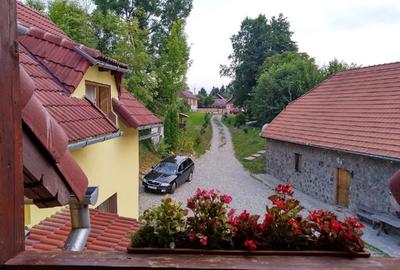 VAND PROPRIETATE DEOSEBITA - 5