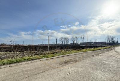 Teren Intravilan Industrial 13.164 mp, Zona Constantin Mille-Carei-Comision 0% - 7